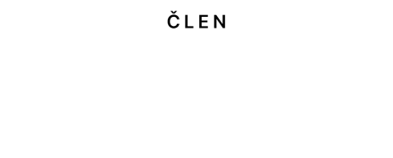 Člen České asociace umělé inteligence